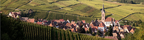 Alsace
