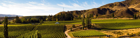 CENTRAL OTAGO