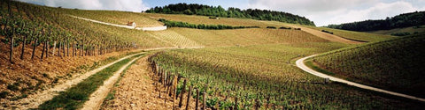 Chablis