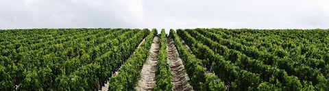 Bordeaux En Primeur 2018