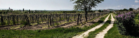 Hungary