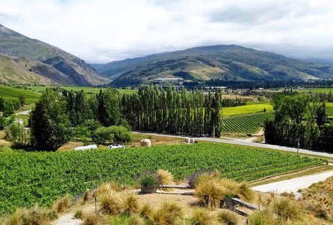 NEW ZEALAND