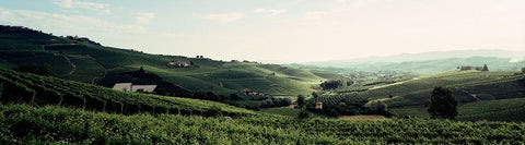 Piedmont
