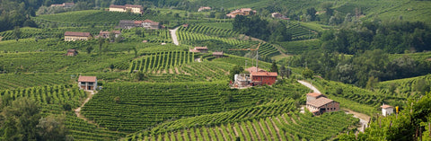 Prosecco