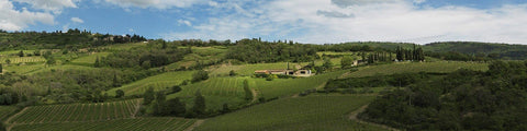 Querciabella Chianti Classico & Super-Tuscans