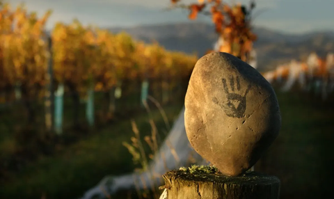Seresin Wines