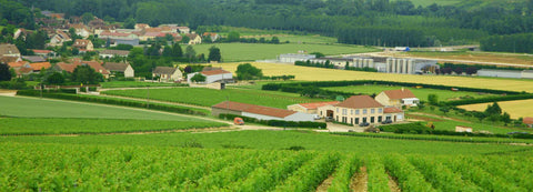 Domaine Vincent Dampt
