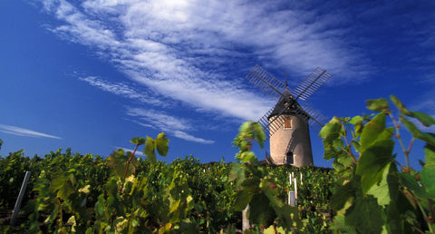 Wines of Beaujolais