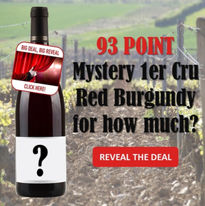 Mystery 1er Cru Red Burgundy 2021