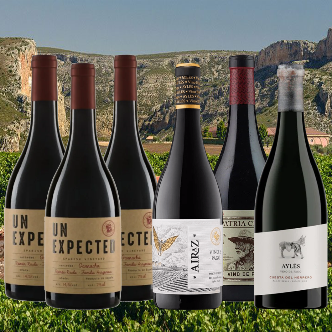 Ayles Vino de Pago Discovery Mixed 6-Pack